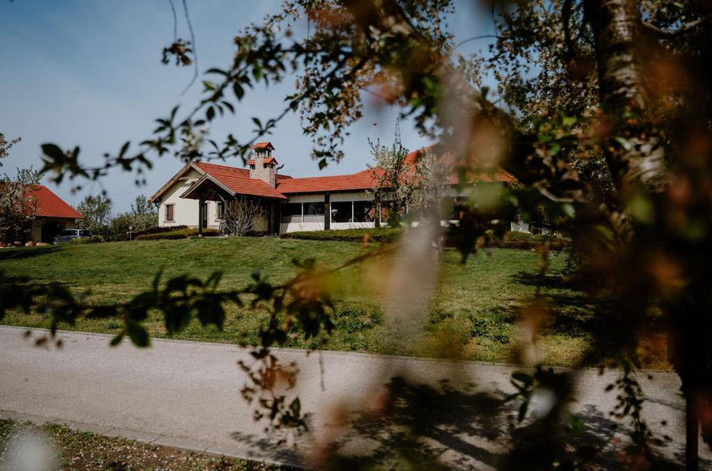 Willa Beni Family Wine Farm Cegléd Zewnętrze zdjęcie