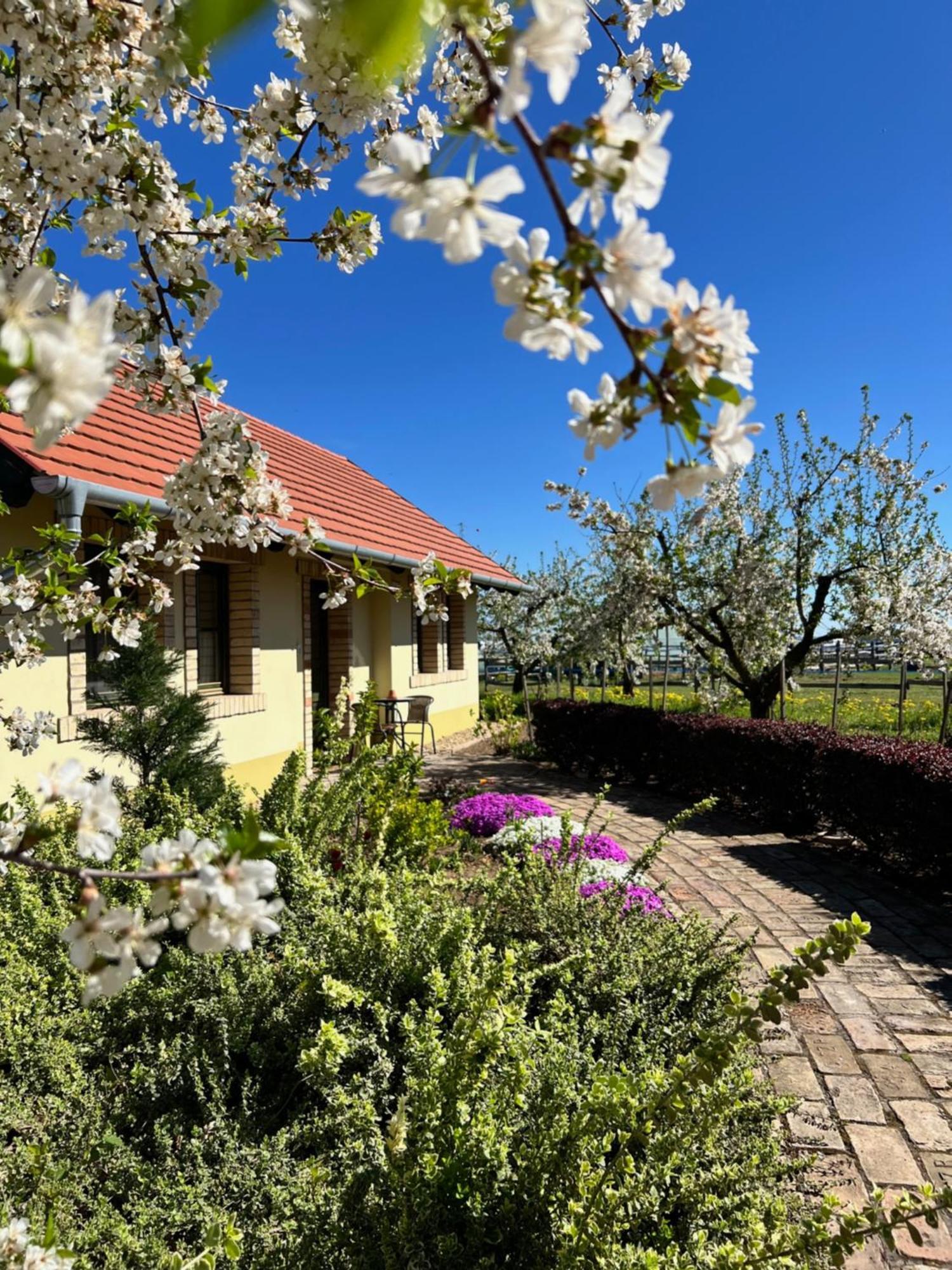 Willa Beni Family Wine Farm Cegléd Zewnętrze zdjęcie