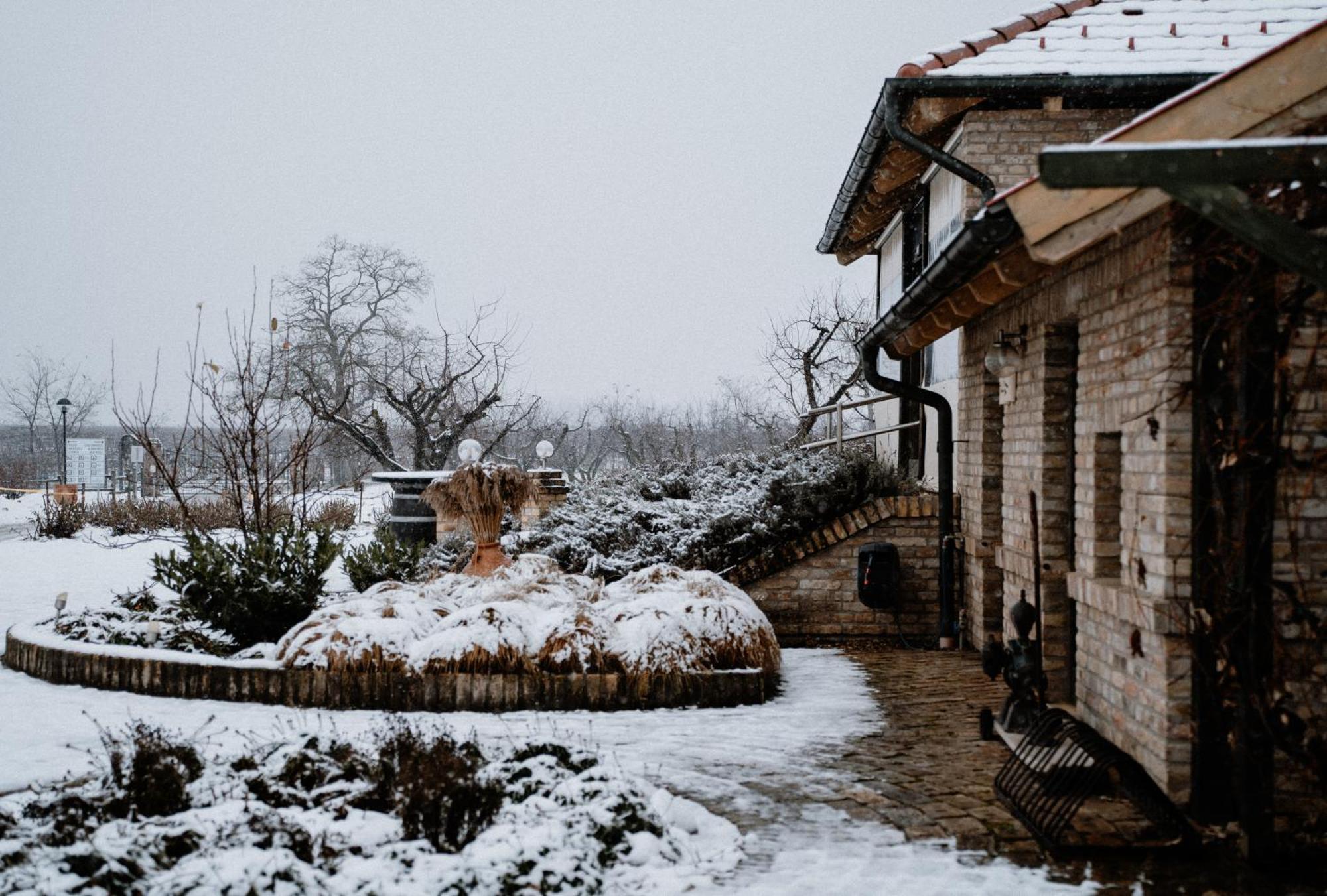 Willa Beni Family Wine Farm Cegléd Zewnętrze zdjęcie