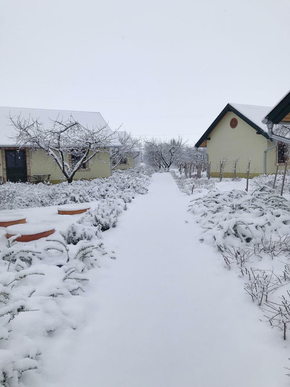 Willa Beni Family Wine Farm Cegléd Zewnętrze zdjęcie